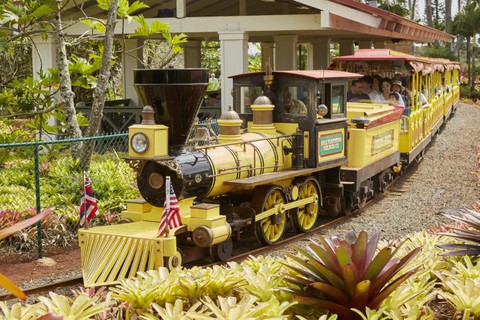 All Aboard – Take a Ride on Hawaii’s Sugar Cane Trains