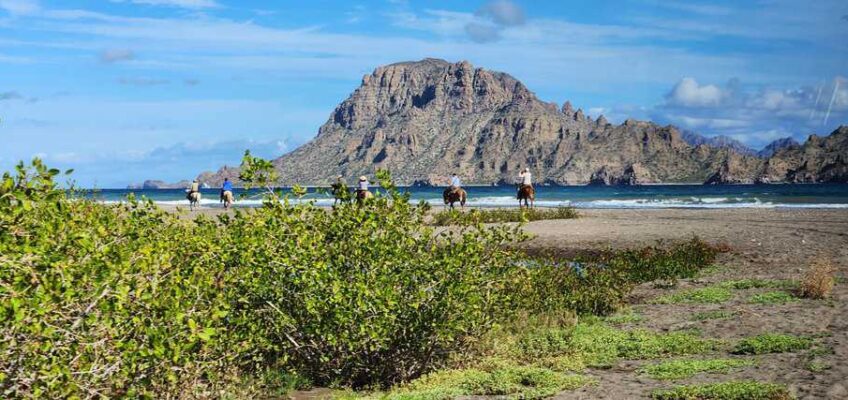 Horseback riding is one of the most popular things to do in Loreto