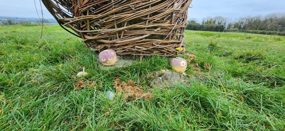Traditional carved turnip heads on the Hill of Ward during Puca Festival