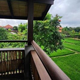 A hotel terrace overlooking a rice field