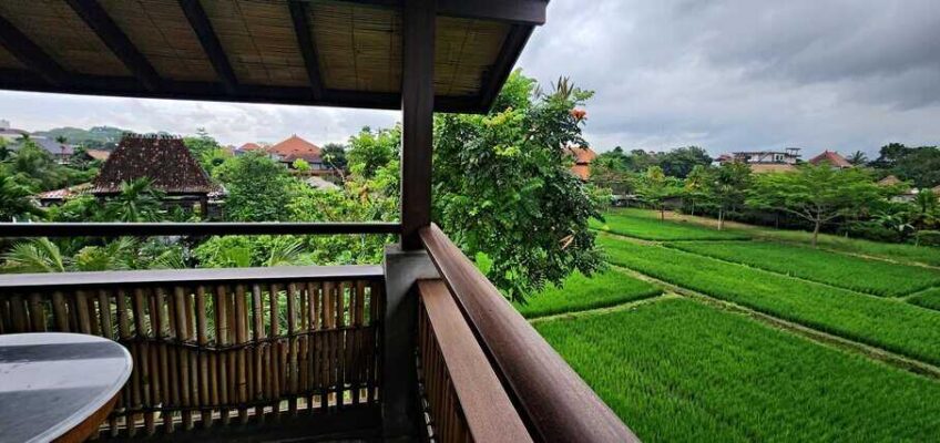 A hotel terrace overlooking a rice field