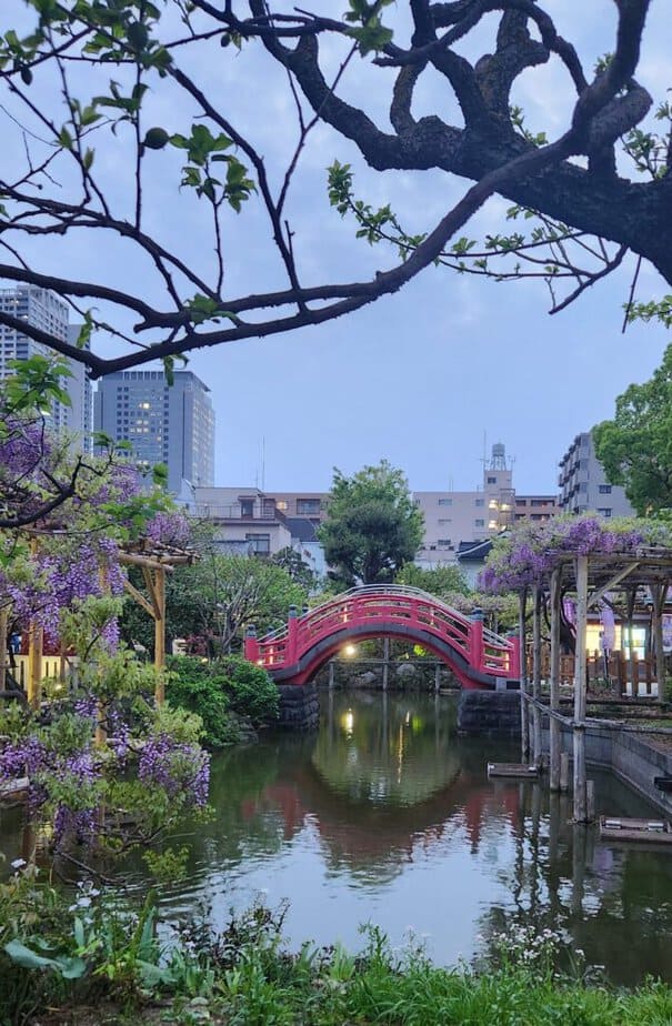 Visiting shrines and temples at dawn and sunset yields the best photos and a quieter experience. View of a half-moon bridge at twilight