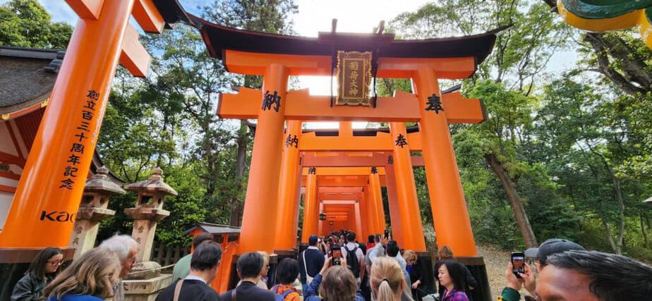 Crowds at a shrine with vermillion Torii gates